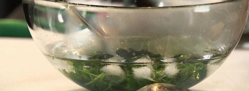 филе камбалы со сливочным кремом и красным картофельным пюре. Шаг 3