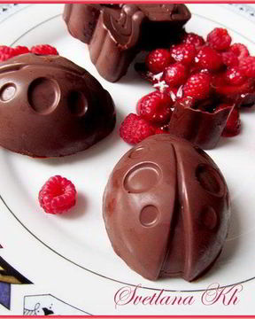 Малиновое желе в шоколаде