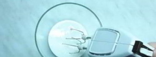 абрикосовое мороженое. Шаг 2