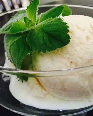 Диетическое мороженое Пломбир