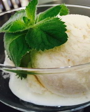 Диетическое мороженое Пломбир