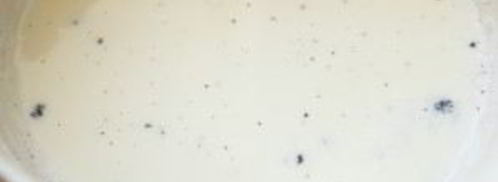 домашнее мороженое пломбир. Шаг 2