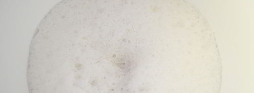 мороженое 5 рублей. Шаг 3