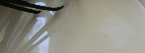 пломбир по госту. Шаг 2