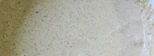 торт-мусс черничный каприз. Шаг 4