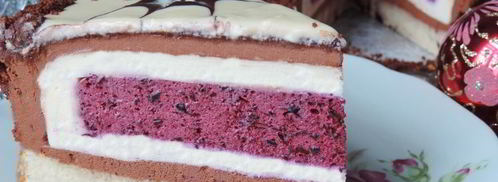 торт-мусс фантазия. Шаг 22