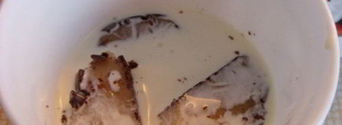 творожный мусс с ореховой нугой и шоколадным марципаном. Шаг 2