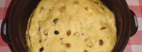 кулич с изюмом и цукатами. Шаг 7