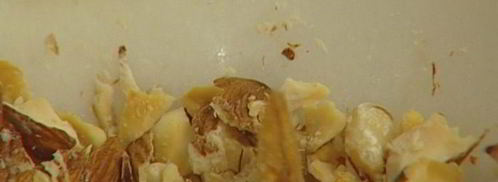 ванильная пасха с цукатами и миндалем. Шаг 4