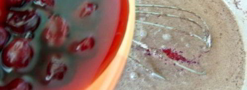 шоколадный клафути с вишней. Шаг 3