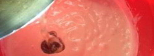 йогуртовое суфле для торта. Шаг 3