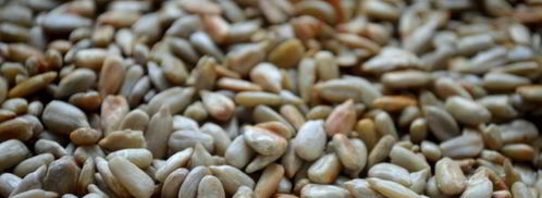 суфле из сельдерея с курагой. Шаг 4