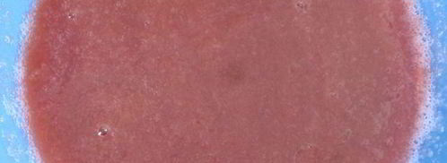 суфле из слив со сгущенным молоком. Шаг 3