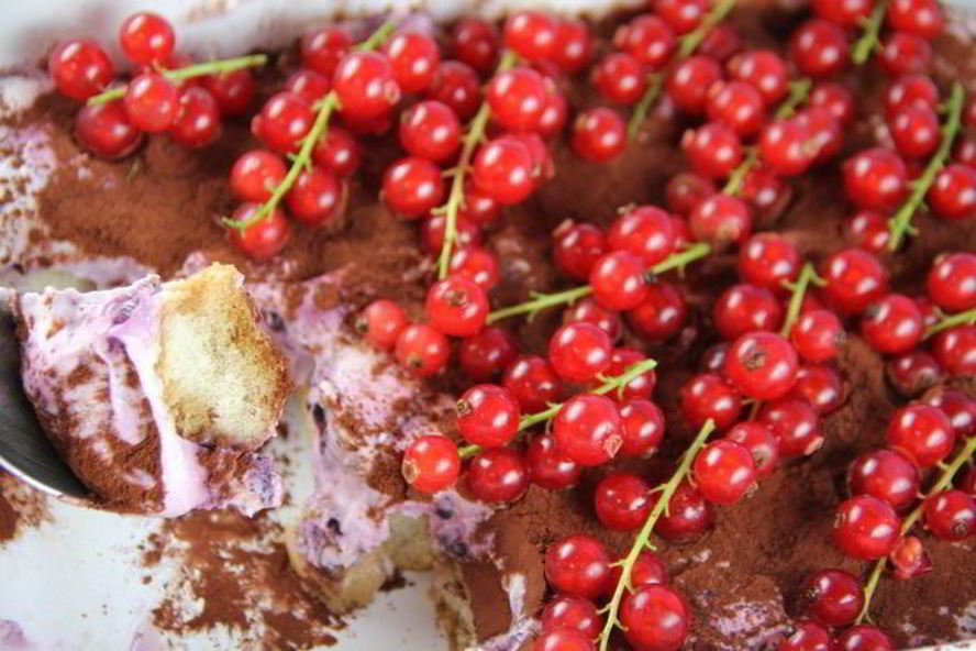 Рецепт тирамису с лесными ягодами