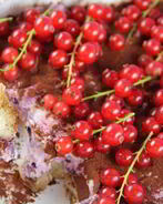 Тирамису с лесными ягодами