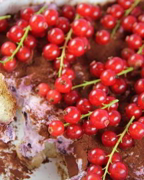 Тирамису с лесными ягодами