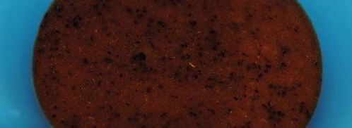 тирамису со вкусом сливы. Шаг 3