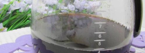 эскимо-тирамису. Шаг 9