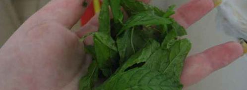 эгроль с персиками и шоколадным соусом. Шаг 5