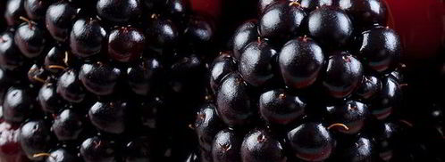 желе из шампанского. Шаг 4