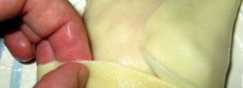 бешбармак из курицы. Шаг 10