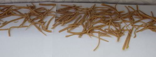 домашняя лапша с паприкой. Шаг 7