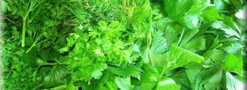 колдуны из картофеля с фаршем. Шаг 4