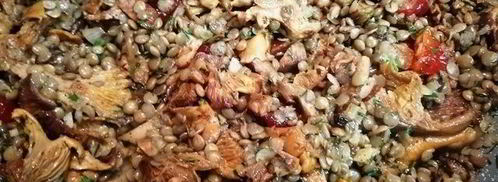 чечевица с лисичками и жареным адыгейским сыром. Шаг 11