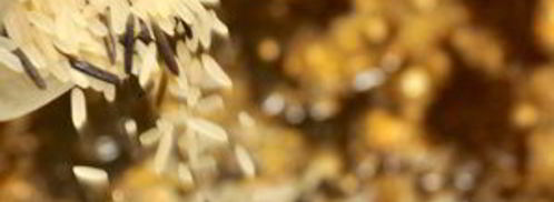 рис с креветками и зеленым горошком. Шаг 4