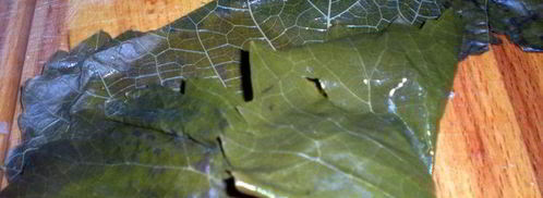 долма с бараниной под сметанно-чесночным соусом. Шаг 6