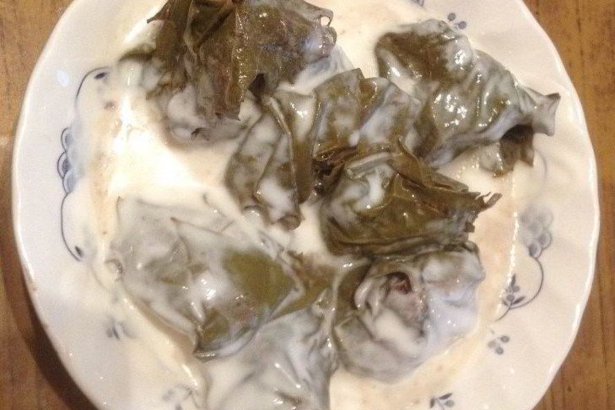Рецепт долма с соусом на основе кефира