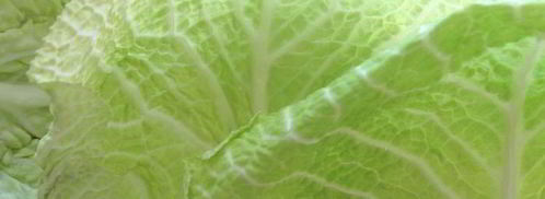 голубцы из прованса. Шаг 3