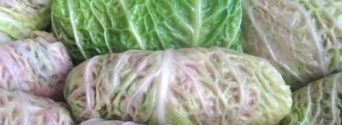 голубцы из прованса. Шаг 10