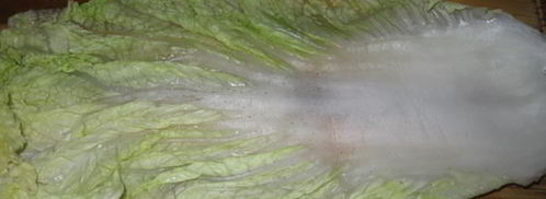 голубцы всевидящее око. Шаг 7