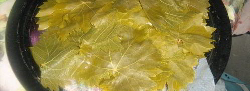 турецкая долма с хайдари. Шаг 12