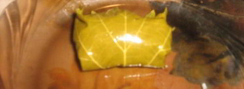 турецкая долма с хайдари. Шаг 5