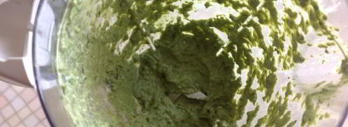 запеченные голубцы из мангольда. Шаг 18