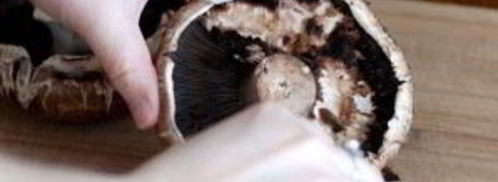 фаршированный портобелло. Шаг 3