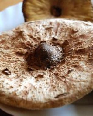 Гриб-зонтик жареный