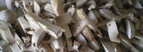 грибы бристольские. Шаг 2