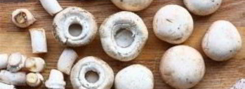 грибы, фаршированные беконом. Шаг 2