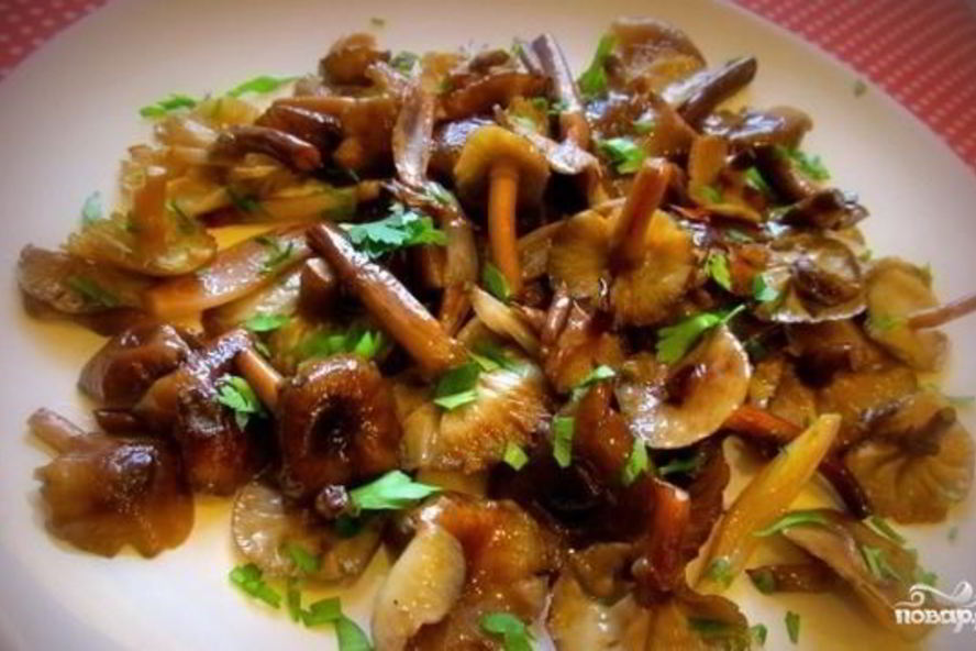 Рецепт опята жареные в мультиварке