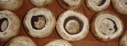 шампиньоны под майонезом. Шаг 4