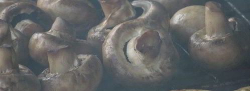 шампиньоны, запеченные на мангале. Шаг 2