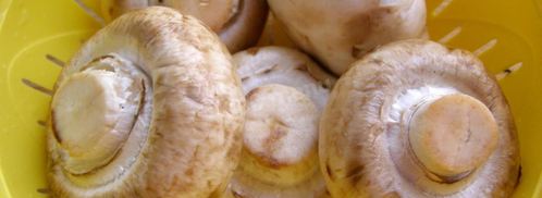 тушеные грибы в мультиварке. Шаг 2