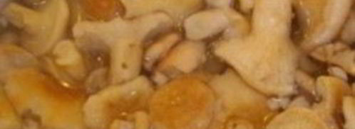 тушеные волнушки. Шаг 2