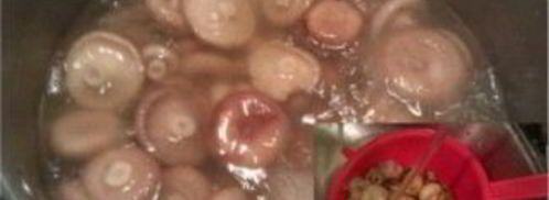 волнушки, жареные в сметанном соусе. Шаг 2