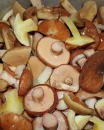 Запеченные маслята