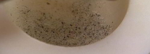 котлеты из индейки с фасолью. Шаг 3