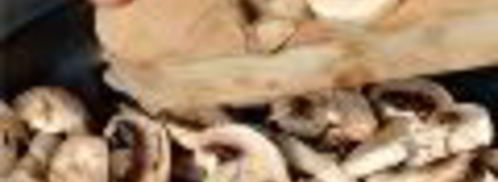 лазанья из домашнего теста. Шаг 4